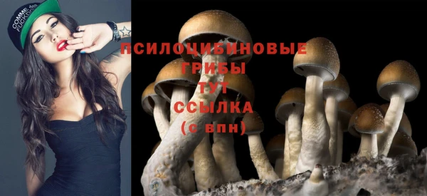 прущая мука Баксан