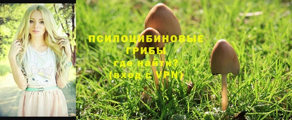 трава Балахна